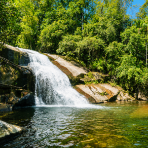 Passeio Barco e Cachoeira  Prumirim com almoço